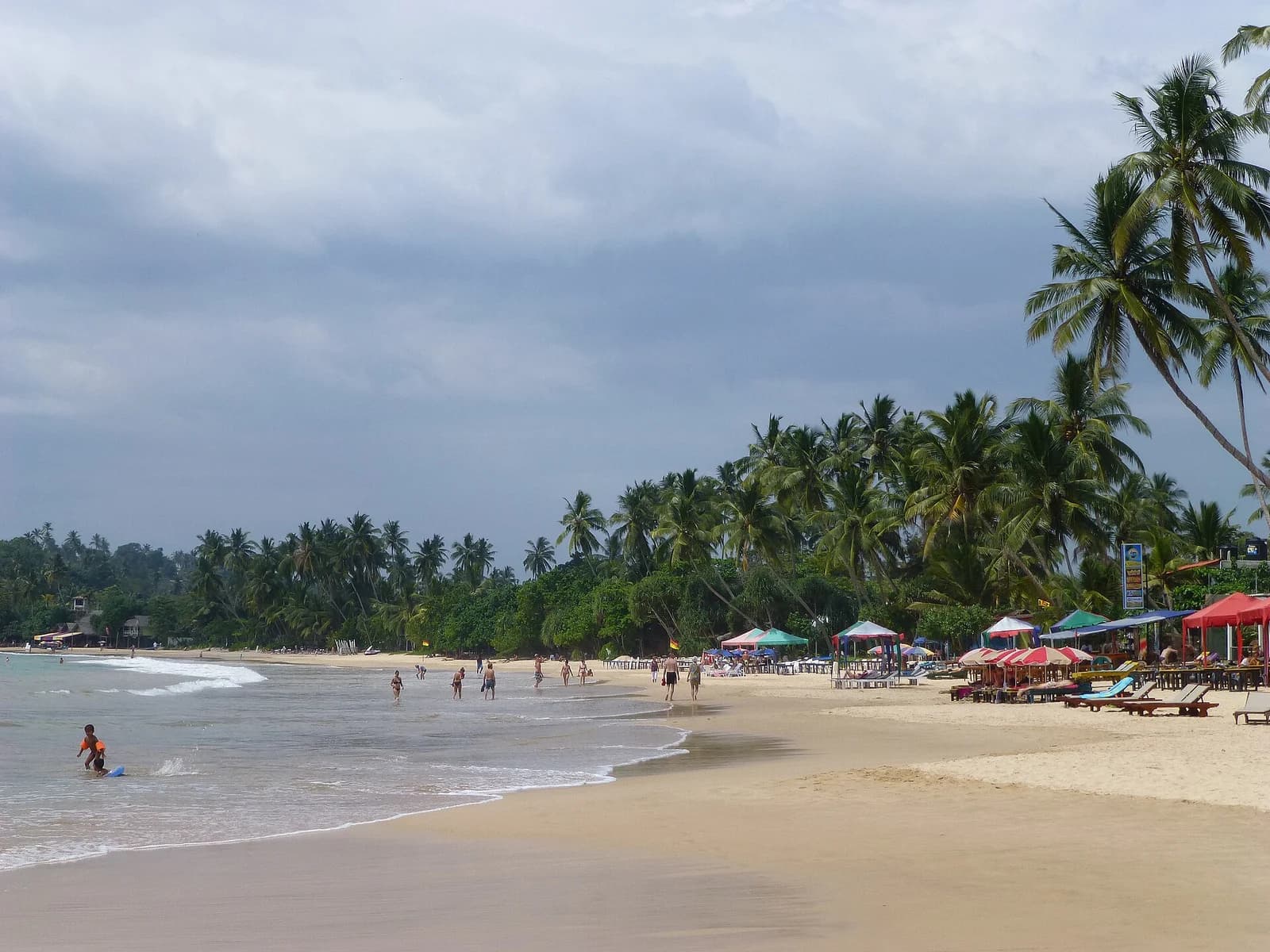 Mirissa beach and its palm-lined southern coastline